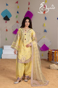 Three Piece Stitched Embroidered Suit Festive Collection - Summers 2026 )