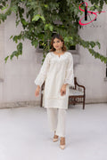 Two Piece Stitched Embroidered Suit -  Summers 2024