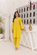 Two Piece Stitched Embroidered Suit -  Summers 2024