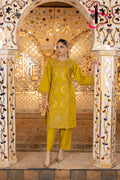 Two Piece Stitched Embroidered Suit -  Winters 2024