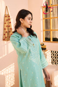 Two Piece Stitched Embroidered Suit -  Summers 2024