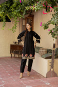 Two Piece Stitched Embroidered Suit -  Winters 2024