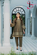 Two Piece Stitched Embroidered Suit -  Winters 2024