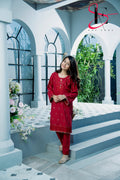 Two Piece Stitched Embroidered Suit -  Winters 2024