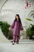 Two Piece Stitched Embroidered Suit -  Winters 2024