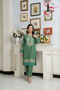 Two Piece Stitched Embroidered Suit -  Winters 2024