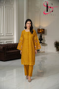 Two Piece Stitched Embroidered Suit -  Winters 2024
