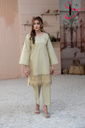 Two Piece Stitched Embroidered Suit -  Summers 2024