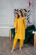 Two Piece Stitched Embroidered Suit -  Summers 2024